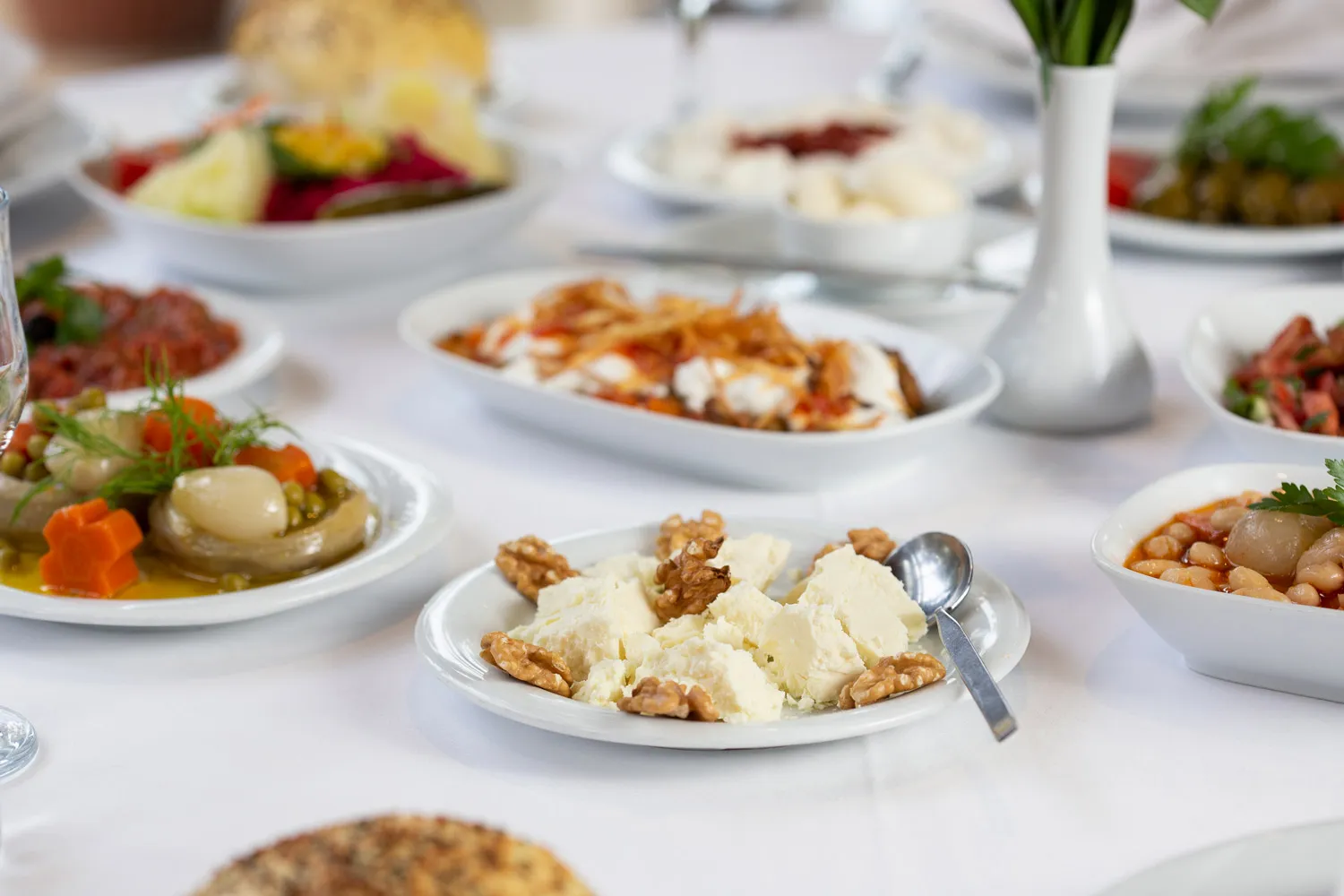 Salata,Zeytinyağlılar ve Mezeler