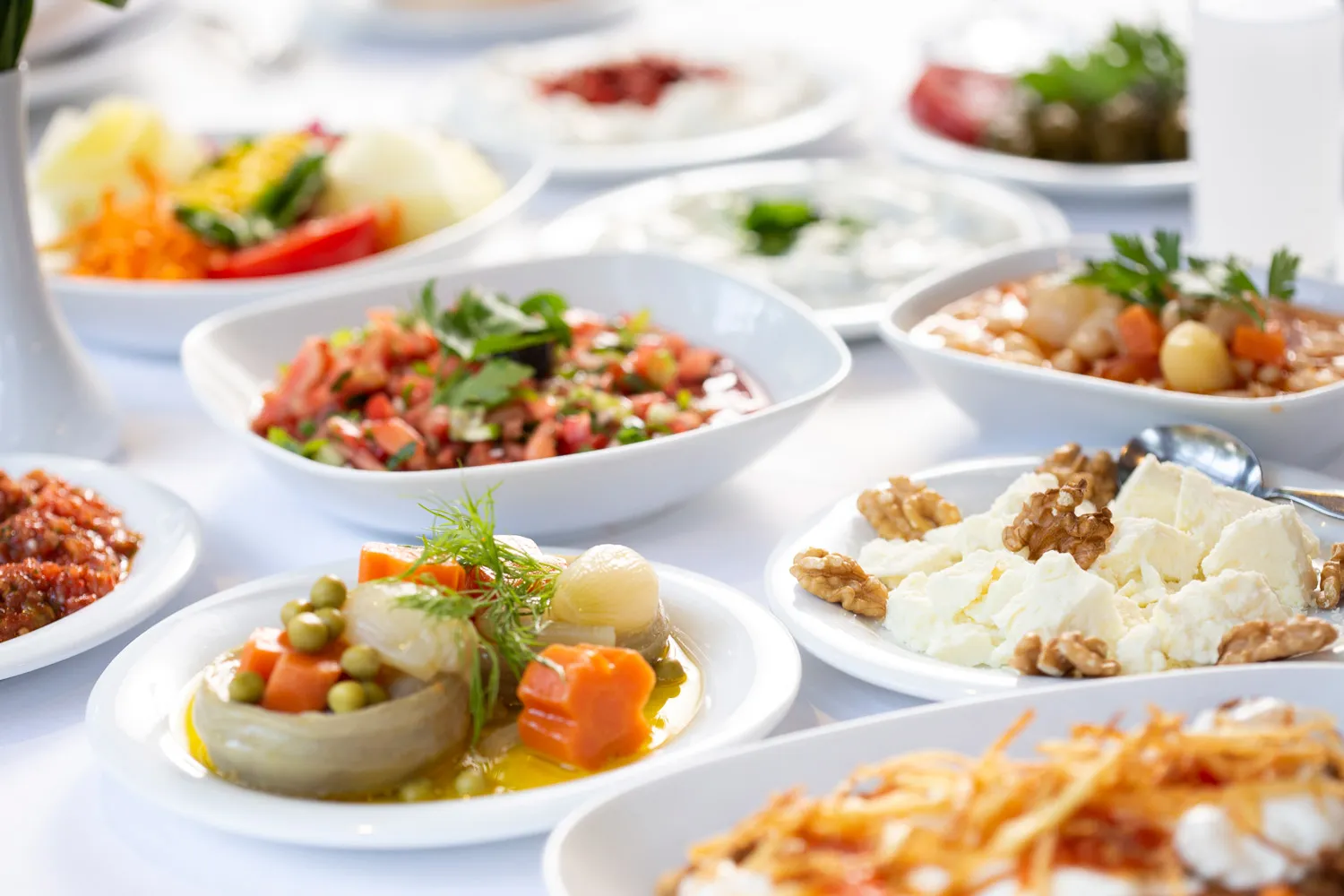 Salatalar,Mezeler ve Zeytinyağlılar